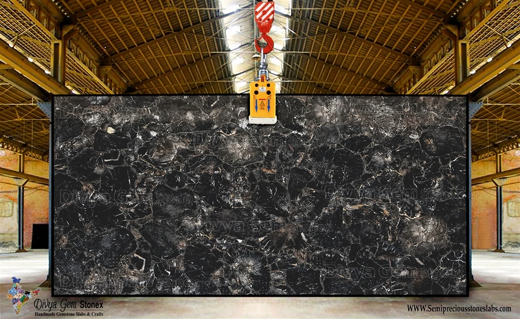 BLACK PETRIFIED WOOD