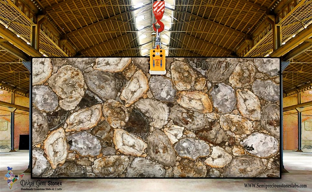 IVORY PETRIFIED WOOD